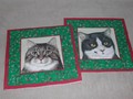Weihnacht Servietten grün mit 4 Katzenporträt